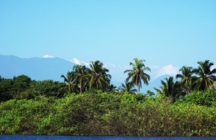 Oasis Hostal Palomino