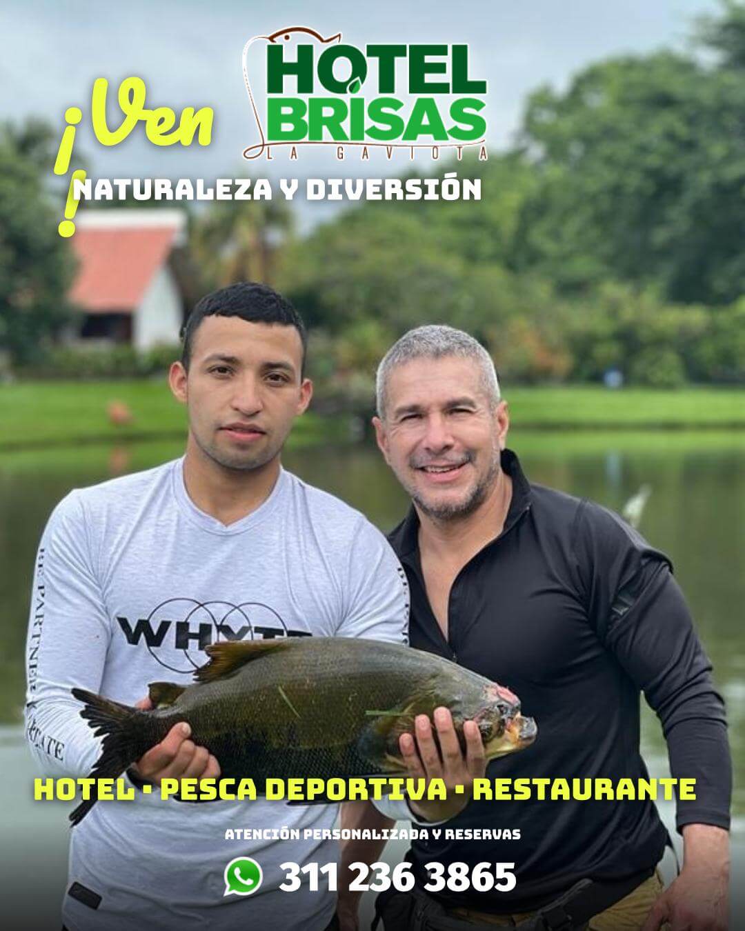 hotel brisas la gaviota mariquita